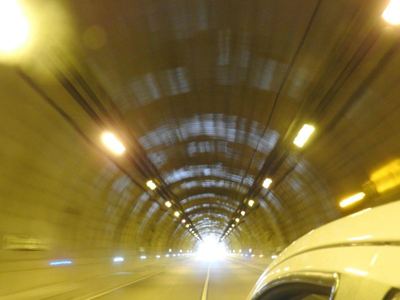 Fire Safety and Emergency Response